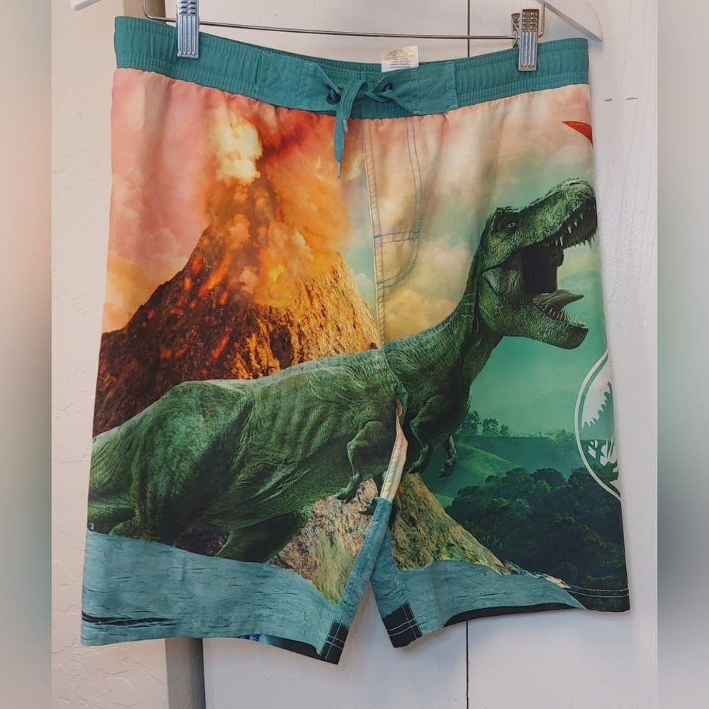 Jurassic World Park T-Rex Graphic Board Shorts Swim Trunks Size XL (14-16) Youth